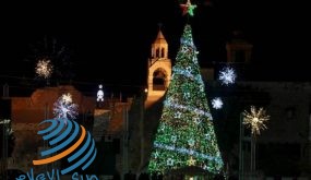 إضاءة شجرتي الميلاد في بيت لحم وبيت جالا للمرة الأولى بالتزامن