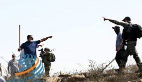 مواطنون يتصدون لهجوم مستوطنين شرق قلقيلية