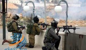 إصابة شابين برصاص الاحتلال شمال قلقيلية
