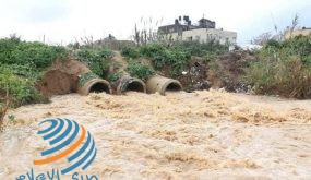 الاحتلال يستهدف أراضي زراعية شرق خان يونس
