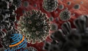 كورونا عالميا: نحو 2 مليون و248 ألف وفاة و103 مليون و935 الف إصابة