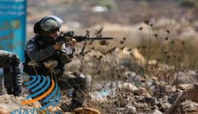 الاحتلال يصيب شابا بالرصاص قرب سلواد شمال شرق رام الله