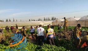 شهيد وإصابتان بحادث دهس من قبل مستوطن في الأغوار الشمالية