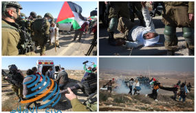 الاحتلال يعلن مئات الدونمات من أراضي يطا جنوب الخليل أراضٍ حكومية