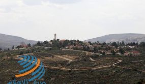 ملوثات المستوطنات تدمر البيئة في سلفيت