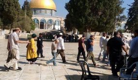 626 مستوطنا يقتحمون “الأقصى” والاحتلال يحول باحاته إلى ثكنة عسكرية