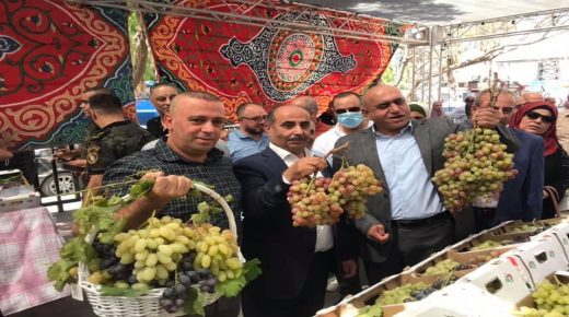 انطلاق مهرجان تسويق العنب في جنين