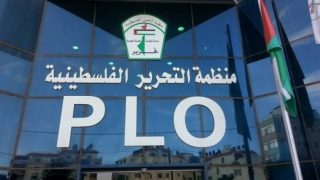 حقوق الانسان