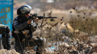 شمال فلسطين