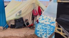 “الإحصاء”: مؤشر غلاء المعيشة يسجل ارتفاعا قياسيا في قطاع غزة جراء استمرار العدوان