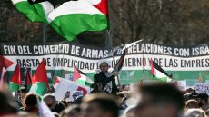 المئات يتظاهرون في ألمانيا تضامنا مع شعبنا وتنديدا بمجزرة رفح