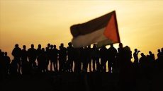 في ذكرى النكسة.. تتجدد النكبة
