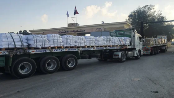 400 شاحنة مساعدات تتجه إلى غزة بعد وقف إطلاق النار