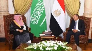 مصر والسعودية تؤكدان أهمية نشر القوة الإسرائيلية التقليدية في غزة
