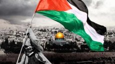 شيخ الأزهر: القضية الفلسطينية بلغت حدًا خطيرًا من الظلم لا يقبل الحياد