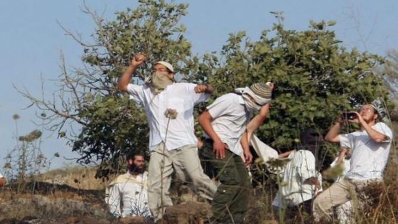 “أوتشا”: تضاعف إصابات الفلسطينيين على يد المستعمرين في الضفة العام الجاري