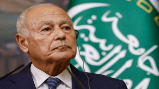أبو الغيط: حل الدولتين هو العادل والوحيد للقضية الفلسطينية