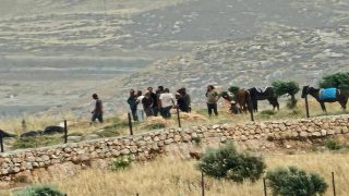 مستعمرون يشرعون بتسييج أراضٍ في تقوع للاستيلاء عليها