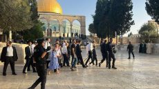 محافظة القدس: تمديد اقتحامات الأقصى ساعة إضافية تصعيد خطير