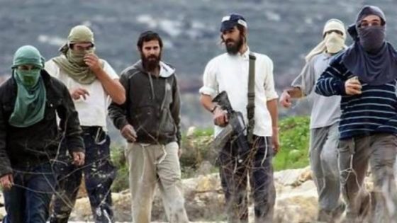 محافظة القدس: تسليح المستعمرين في القدس تحريض عنصري وخطوة خطيرة لتصعيد الجرائم بحق الفلسطينيين