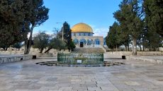 الاحتلال يواصل إغلاق المسجد الأقصى لليوم الـ24