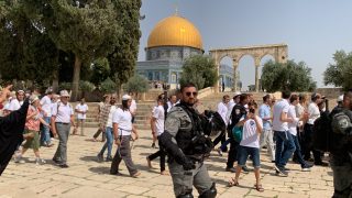 120 مستعمرا يقتحمون المسجد الأقصى بحماية قوات الاحتلال