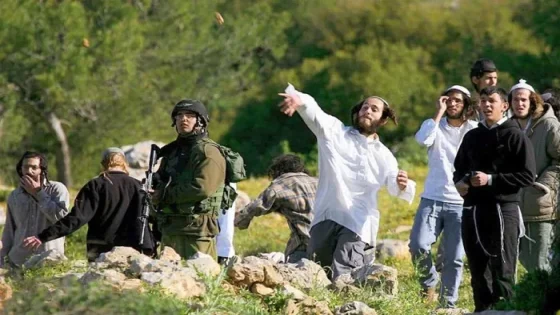 الأمم المتحدة: عنف المستوطنين في فلسطين بلغ مستويات غير مسبوقة