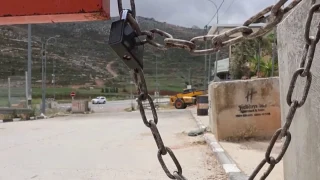 سنجل