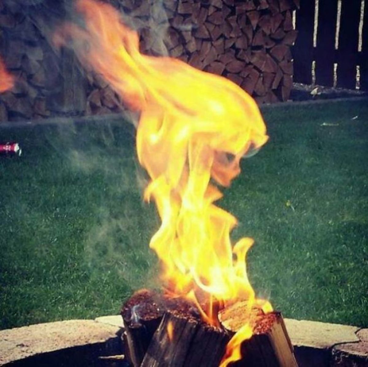 هل هي براعة المصور أم الصدفه …