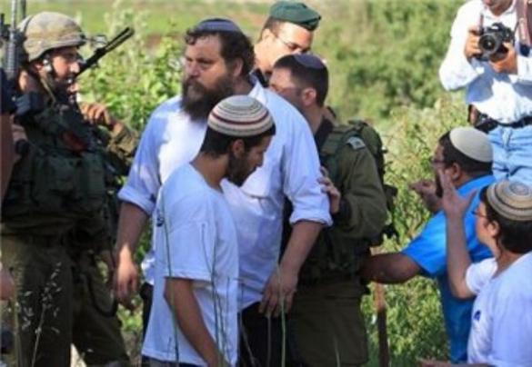 مستوطنون يستولون على أكثر من 300 دونم في الأغوار